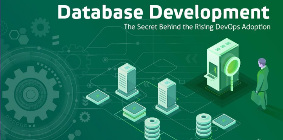 Custom database. Database Development. Database developer. Database developing.